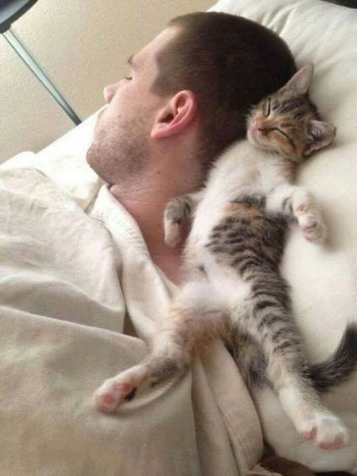 Man and adorable cat sleeping side by side on bed, showcasing wholesome cat pics and charming moments.