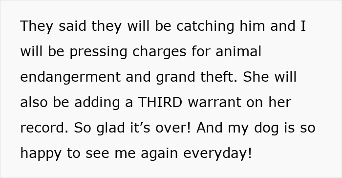 Text about pressing charges for animal endangerment and theft after a lady steals a husky, with owner’s loud revenge. - 33