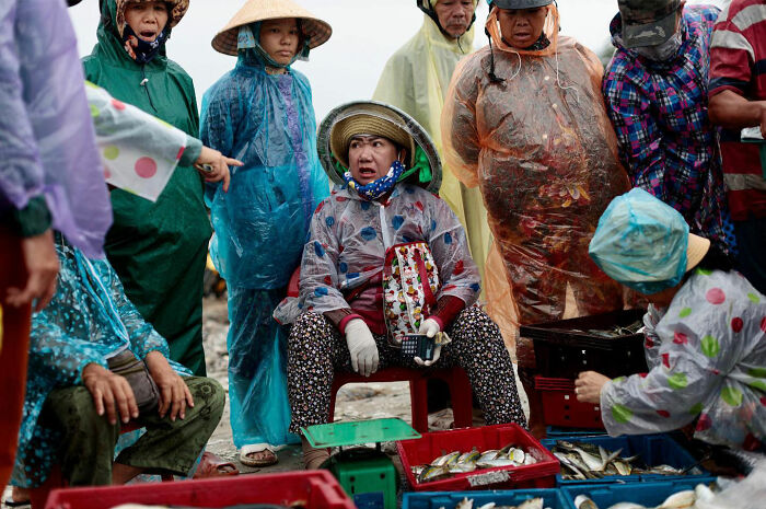 Group of Asian market vendors wearing raincoats and hats selling fresh fish in candid everyday moments by Gil Kreslavsky