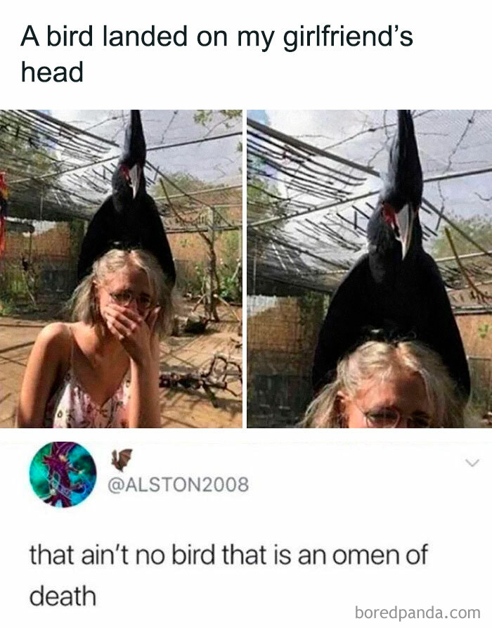 Woman surprised as a large bird lands on her head, a chaotic and funny moment captured for random memes.