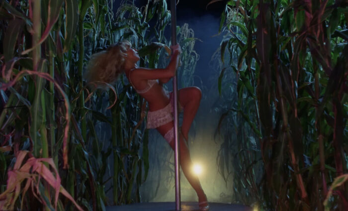 Sabrina Carpenter pole dance performance in a dark cornfield, wearing lingerie and high heels at night.