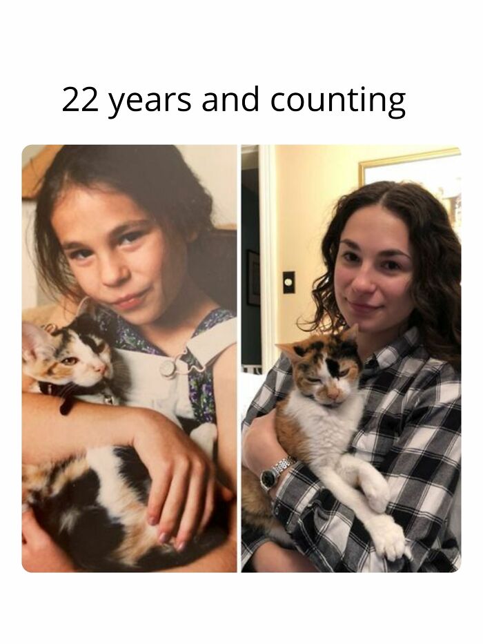 Girl holding same calico cat in two pictures 22 years apart showcasing adorable cat bond.
