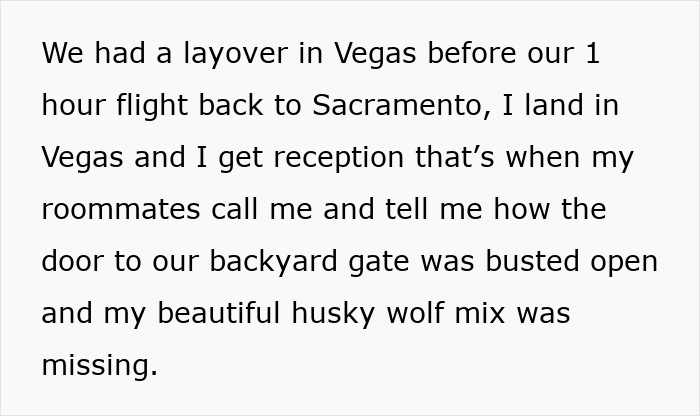 Text describing a husky wolf mix missing after a backyard gate was busted open during a layover in Vegas. - 3