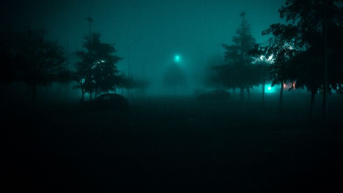 Dark, foggy night scene with faint streetlights and shadowy trees creating an eerie atmosphere of unsolved mysteries.