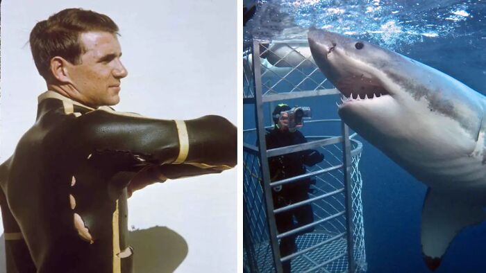 Man in a torn wetsuit next to diver in a shark cage facing a large great white shark in underwater scene, unsettling images.