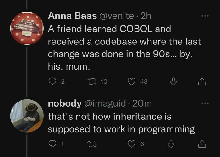 Twitter conversation about learning COBOL, codebase inheritance, and programming humor in computer science memes.