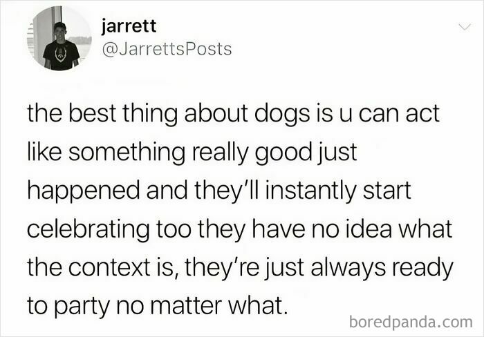 Text meme about dogs celebrating randomly, relatable to 30-somethings in a collection of painfully spot-on memes.