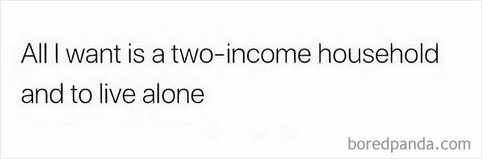 Text meme about wanting a two-income household but living alone, relatable for anyone around 30 in memes.
