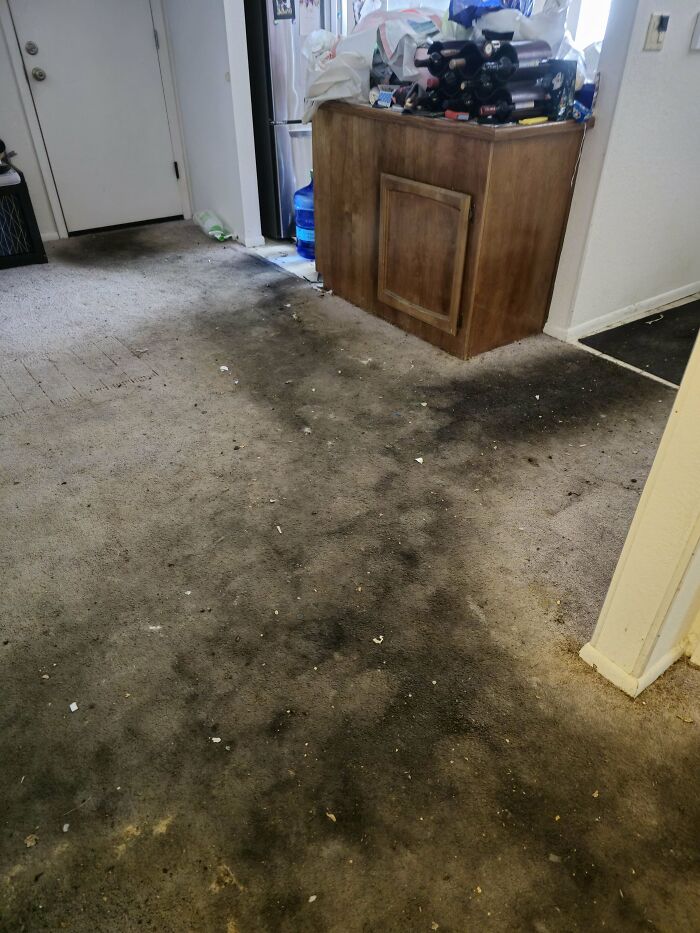 Carpet with heavy dark stains and dirt covering the floor in a cluttered and messy home interior scene. - 11