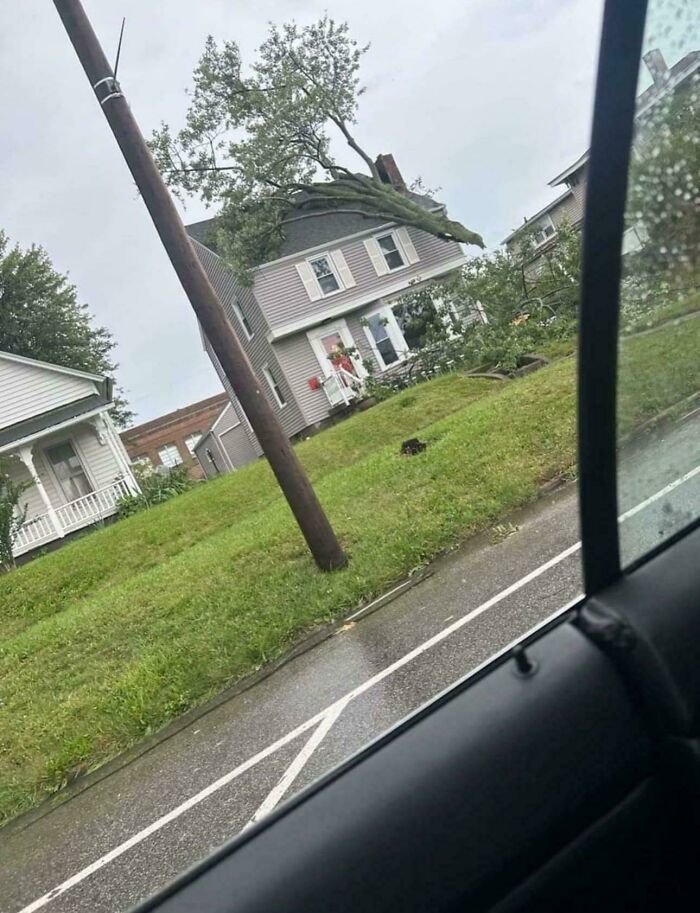 Fallen tree on a house after a storm showing wild nature impacting homes on its own terms.