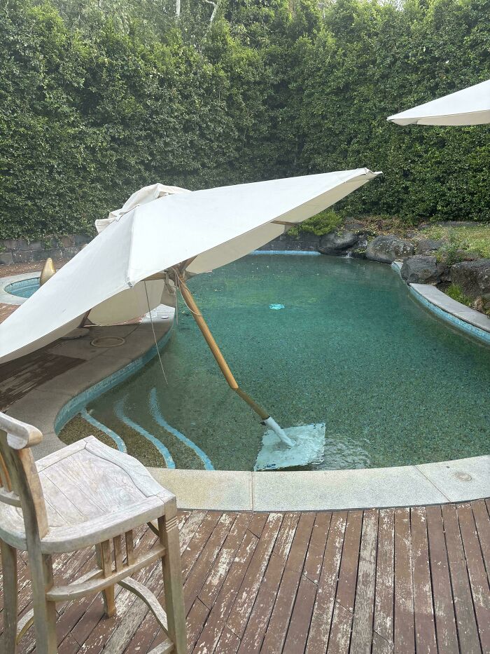 Broken white pool umbrella partially submerged in water near wooden deck and greenery, showcasing nature's unpredictable impact.