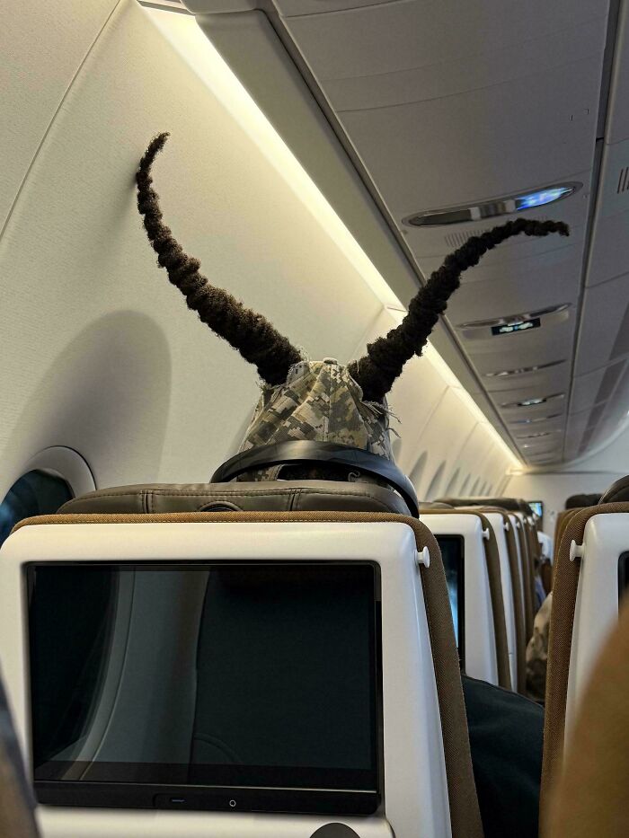 Passenger on airplane wearing a hat with long twisted horns, showcasing funny examples of awful taste but great e*******n.