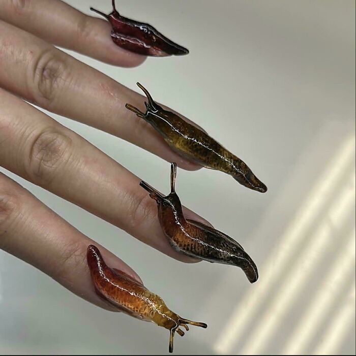 Nails designed to look like realistic slugs, a funny example of awful taste but great e*******n in nail art.