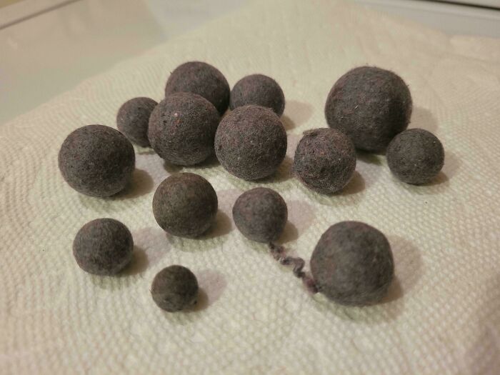 Small, moderately interesting dark felt balls arranged on a textured white paper towel, shared as a curious discovery.