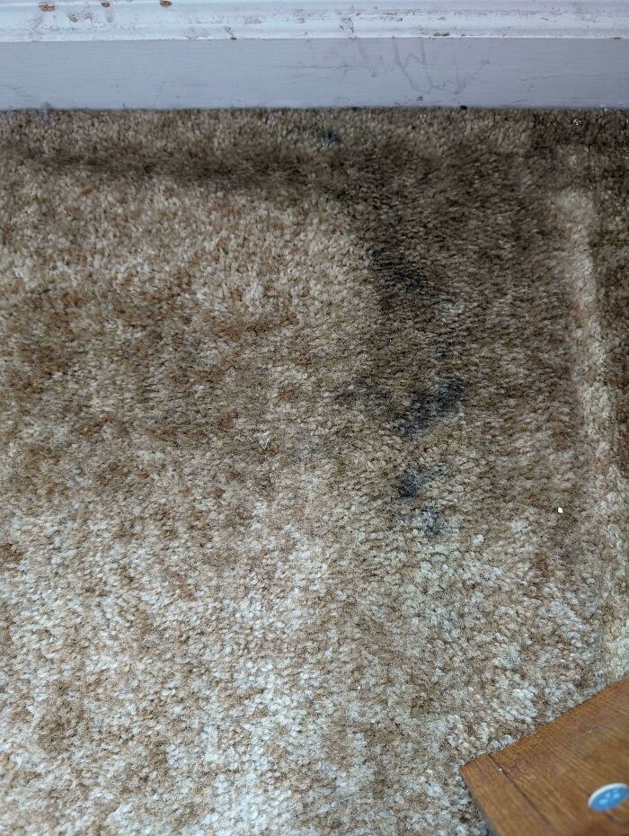 36 People Reveal Home Visits That Left Them Wondering If They Were On A Hidden Camera Show - 23