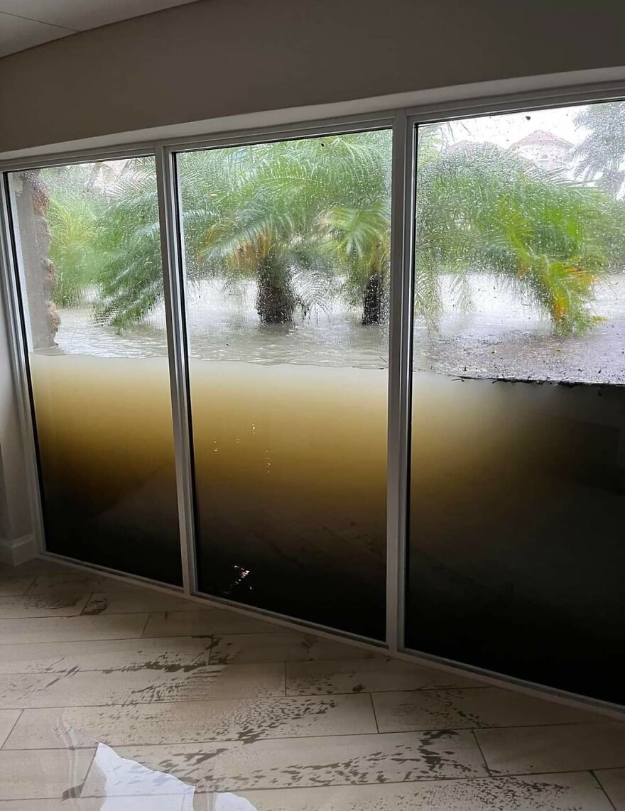 Floodwater seen through large windows with palm trees outside, a visually striking post from an online community.