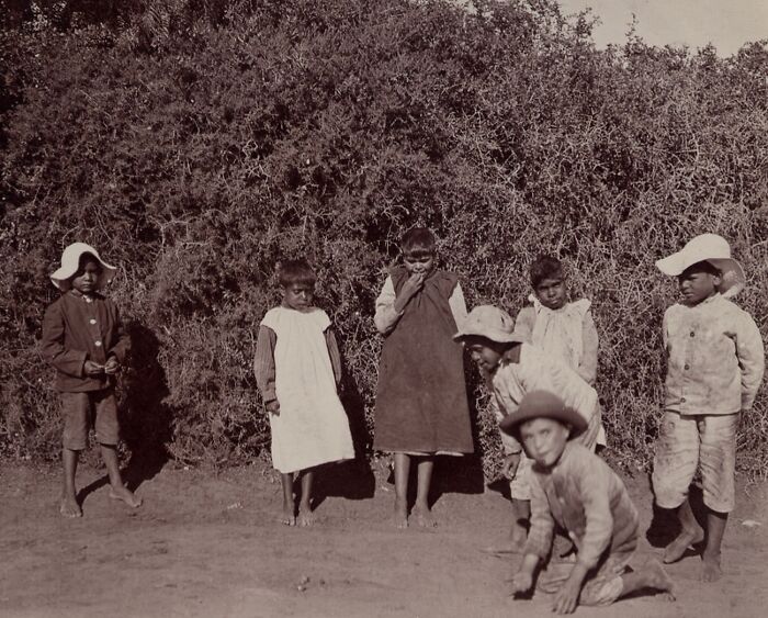 Group of Indigenous Australian children from the 1900s standing and crouching outdoors near dense bushes.
