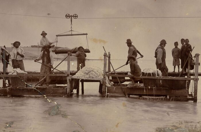 Indigenous Australians in the 1900s working with traditional tools on a wooden platform over water in a historic black and white photo.