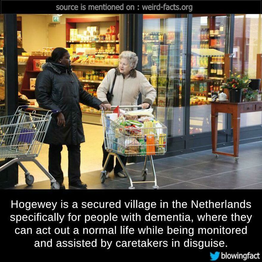 Two women with shopping carts talking outside a grocery store in a secured village for dementia care posts.