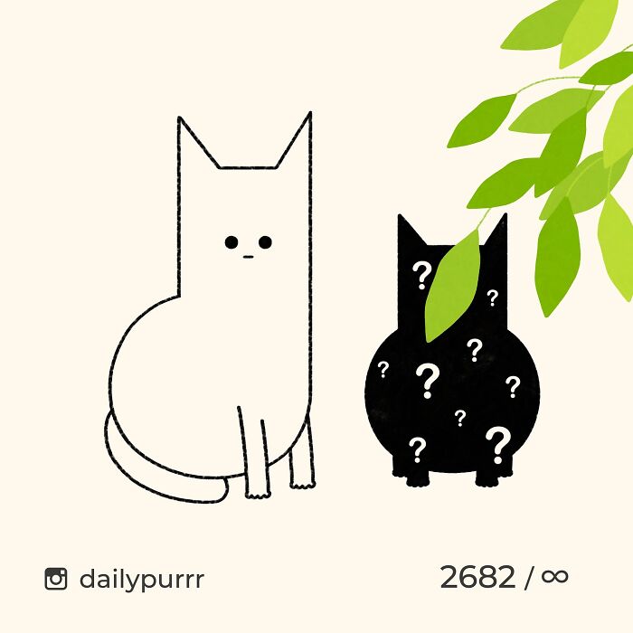 Minimalist doodles of two cats, one white and one black with question marks, showcasing viral cat pics art style.