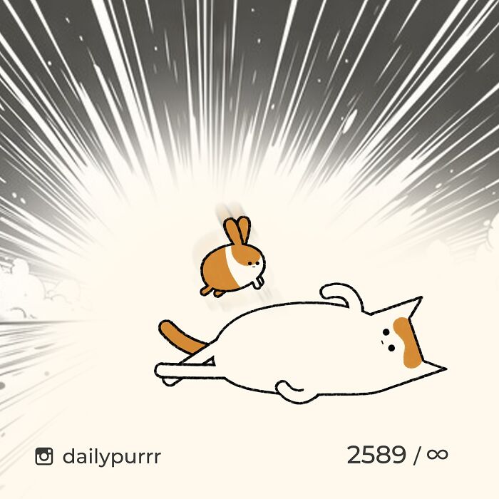 Minimalist doodle of a viral cat lying down with an animated rabbit, showcasing artist's spot-on cat doodles.