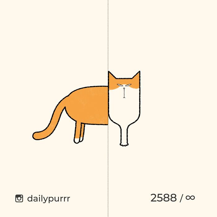 Minimalist doodle of an orange and white cat split into realistic and cartoonish halves, showcasing viral cat pics art.