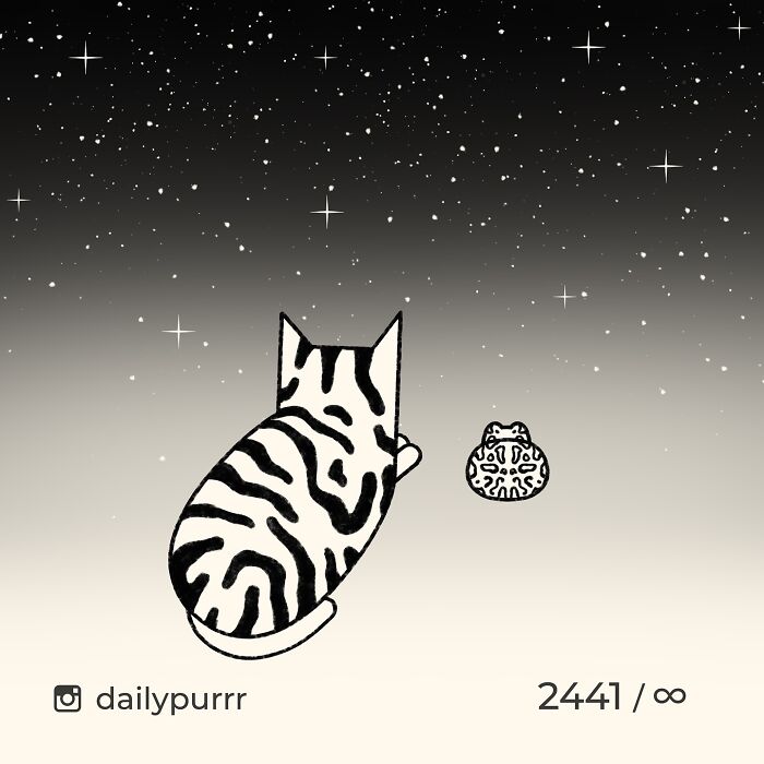 Black and white doodle of a cat sitting with a frog under a starry night sky, inspired by viral cat pics.