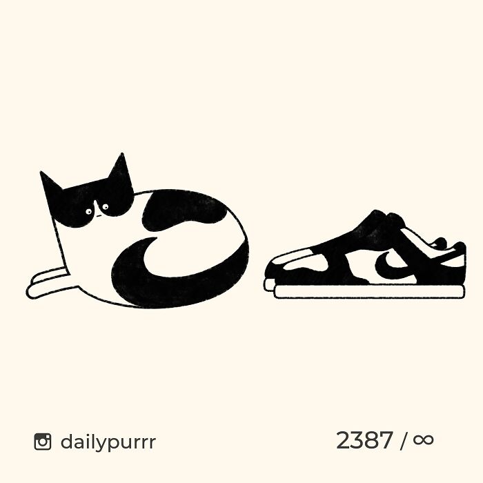 Black and white doodle of a cat curled up next to a matching patterned sneaker, showcasing viral cat pics artwork.