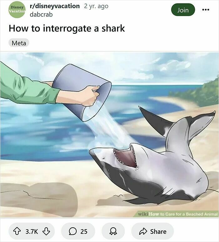 Person pouring water into the mouth of a beached shark in a humorous WikiHow caption rewrite.