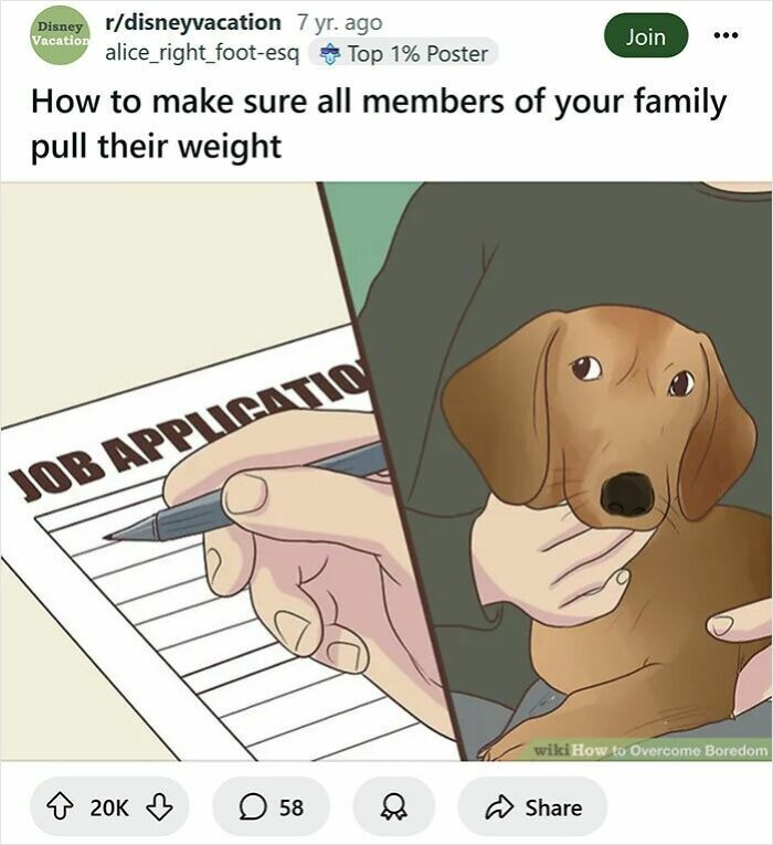 Funny rewritten WikiHow caption showing a person filling a job application and holding a sad dog to entertain.