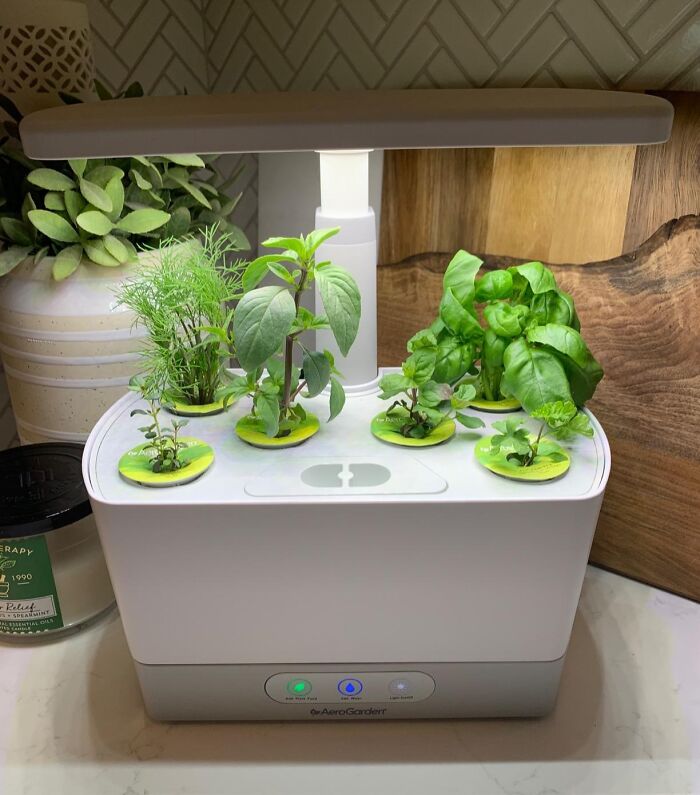 Indoor smart garden with fresh herbs and plants growing under LED light, perfect gift for friends barely holding it together.