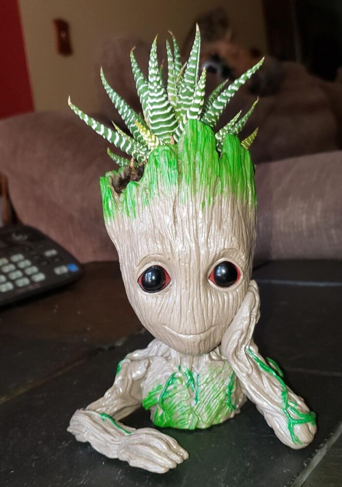 Cute Groot planter with green succulent, a fun and unique gift for a friend barely holding it together.