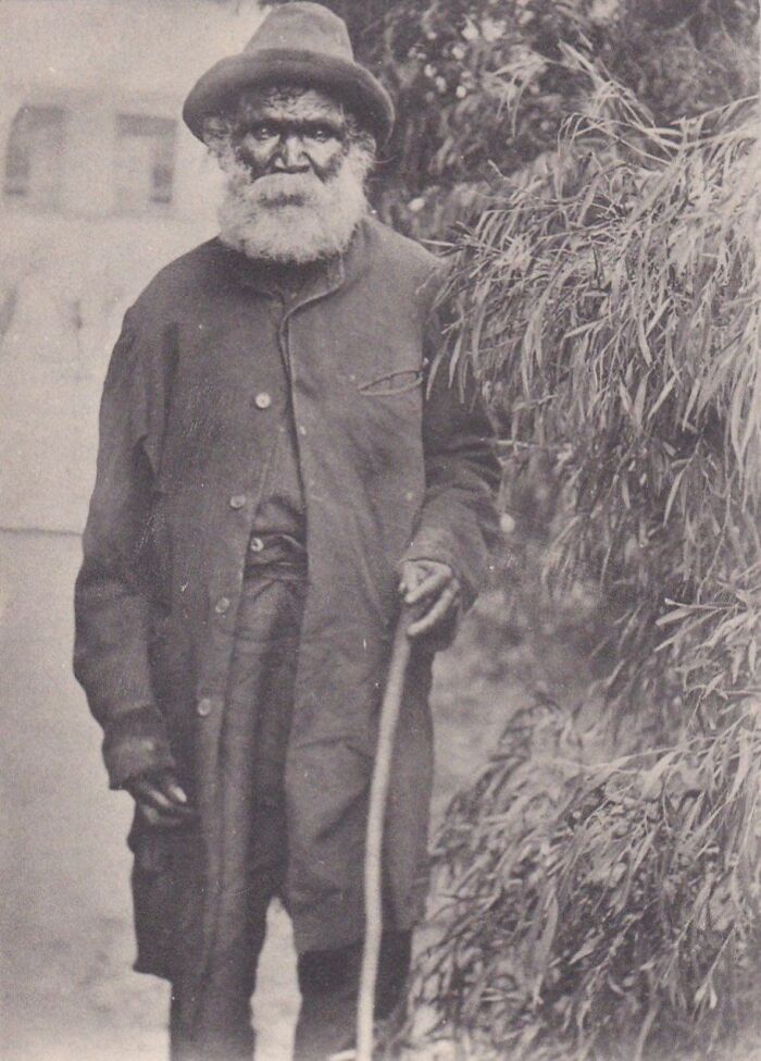 Elderly Indigenous Australian man from the 1900s wearing coat and hat, standing with walking stick beside native foliage.