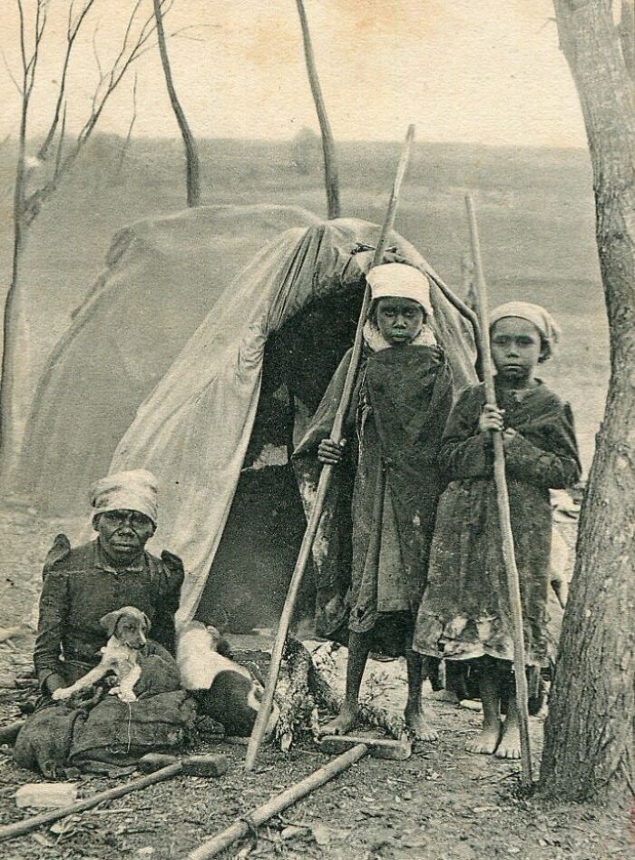 Indigenous Australians from the 1900s pictured near a traditional shelter with children holding sticks and a woman with dogs.