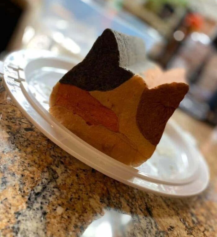 Tri-color cat-shaped bread slice on a white plate, showcasing one of the incredible bakes with creative designs.