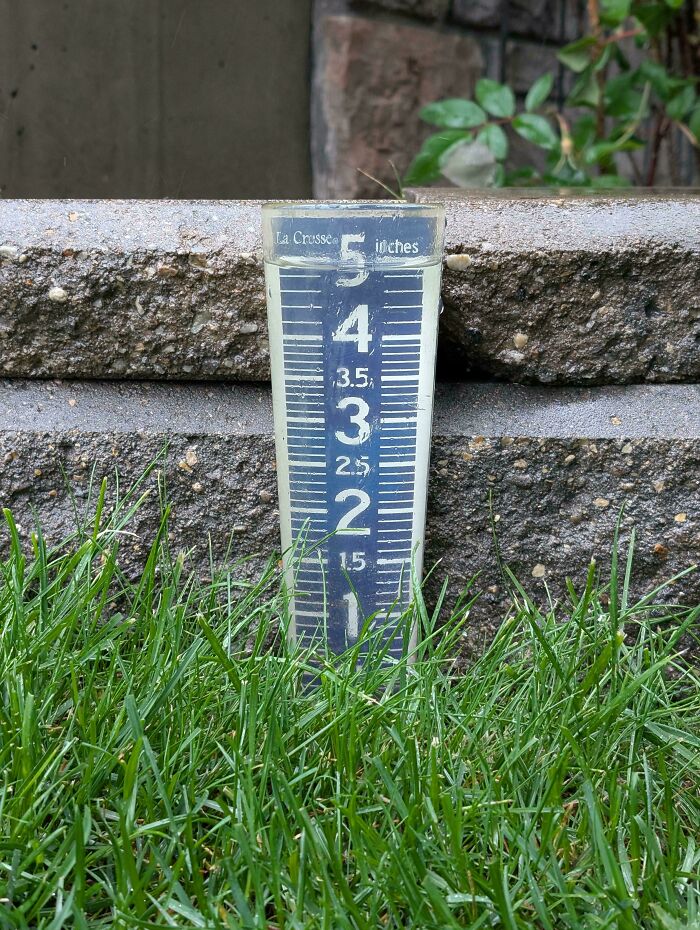 Rain gauge showing rainfall measurement in grass against stone steps, illustrating nature doing things on its own terms.