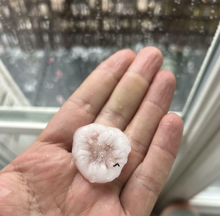 Hand holding a large irregular hailstone, showcasing wild nature's power and unpredictability in an outdoor setting.