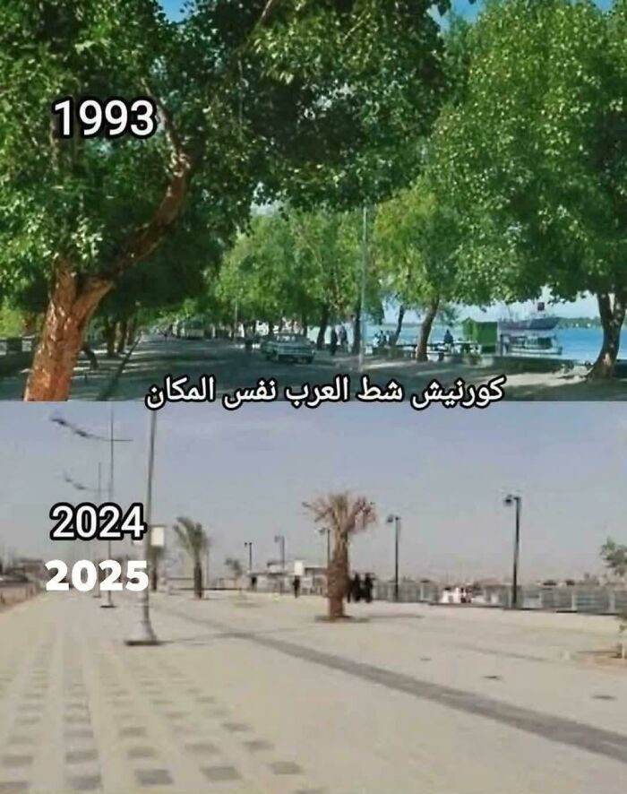 Comparison of urban hell environment showing a green shoreline in 1993 and a barren, empty space in 2024.