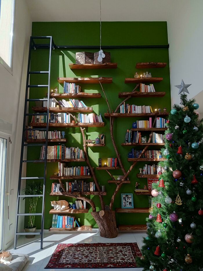 Cozy home corner with unique tree branch bookshelves against a green wall, featuring a ladder, cats, and a decorated Christmas tree.