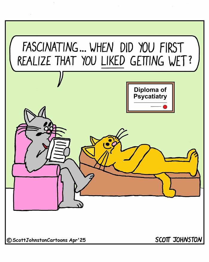 A funny one-panel comic by Canadian cartoonist Scott Johnston showing two cats in a psychiatrist session.