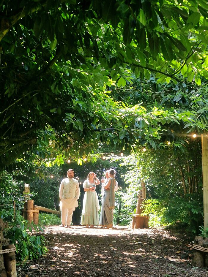People in elegant dresses standing under lush green trees with string lights, resembling accidental renaissance photos.