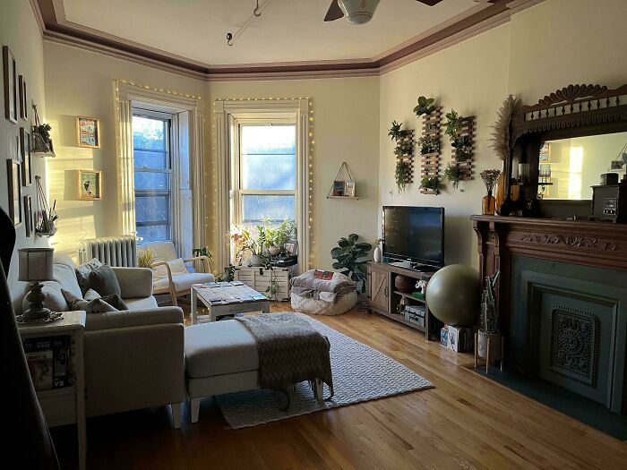 Cozy living room corner with natural light, houseplants, and decorative elements showcasing proud home decorating touches.