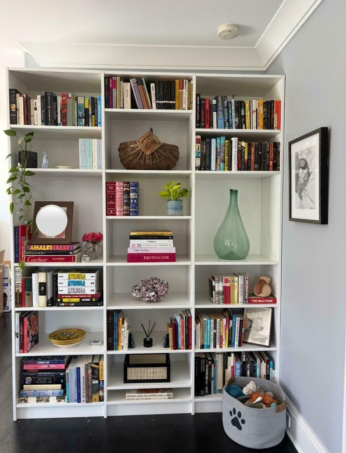 Organized corner bookshelf with plants, decorative items, and books, showcasing a proudly decorated home corner.