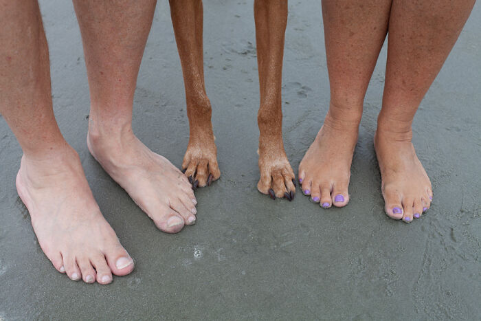 Feet of two people and a dog on a sandy beach, a funny vacation pic that belongs in a comedy special collection.