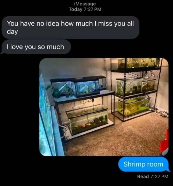 Text message conversation showing affection and a photo of multiple shrimp tanks labeled shrimp room, a meme for broken sense of humor.