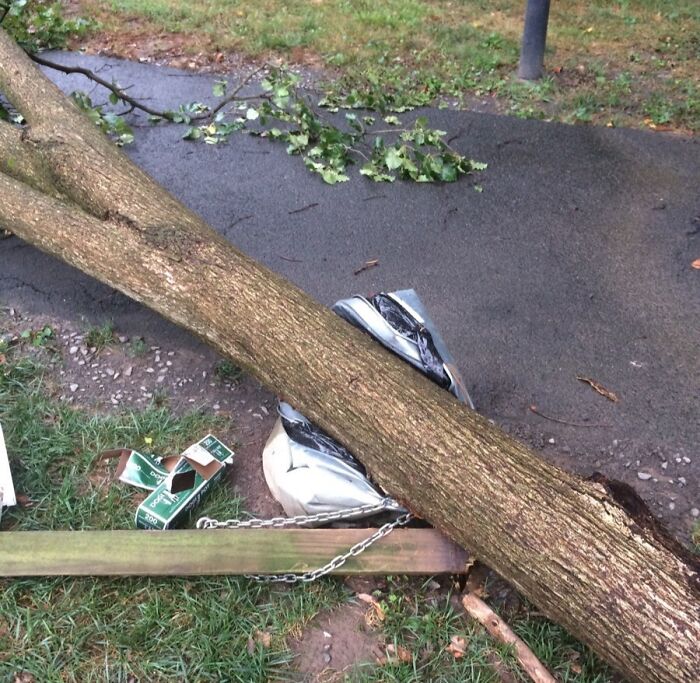 Fallen tree crushing a metal trash bin and wooden fence, showcasing wild Mother Nature acting on its own terms.