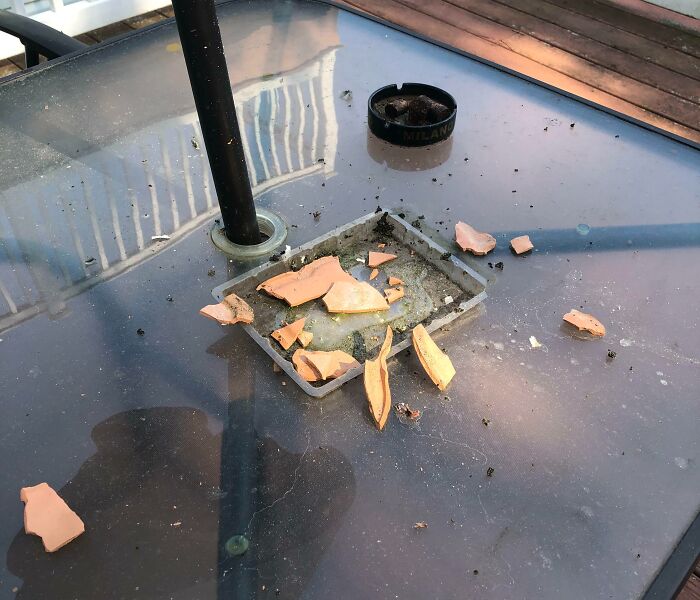 Broken terracotta pieces scattered on a glass table, reflecting damage caused by this year's heatwaves around the world.