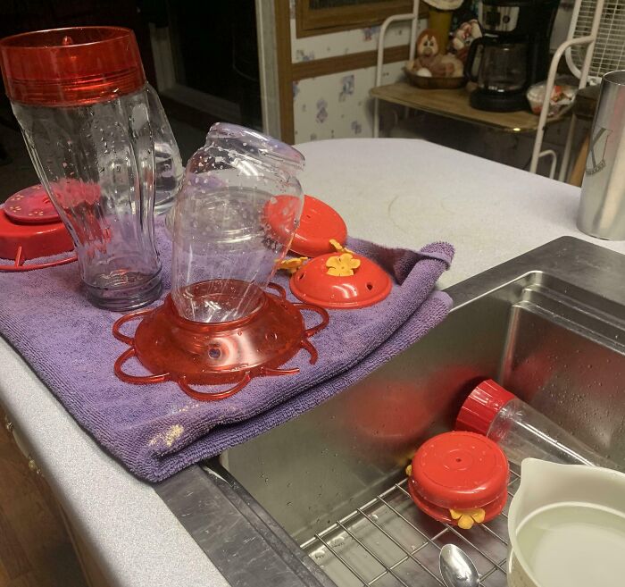 Recipientes plásticos deformados sobre toalla y fregadero, mostrando daños por olas de calor veraniegas.