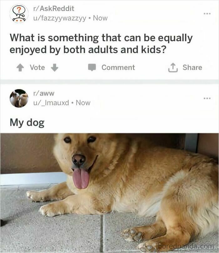 Reddit post with a funny comment about something enjoyed by both adults and kids, featuring a smiling dog.
