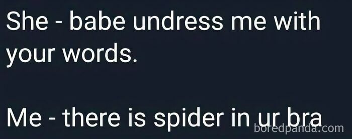 Text conversation meme about weird internet moments where someone asks to be undressed with words and the reply mentions a spider in a bra.